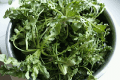 春天吃野菜有什么要注意的？春天吃野菜的注意事項(xiàng)有哪些呢？[圖]