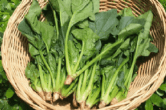 男人常吃菠菜有什么好處？男性吃菠菜的好處有哪些？[圖]