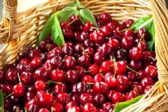 櫻桃的養(yǎng)生作用有哪些？如何健康的吃櫻桃？[圖]
