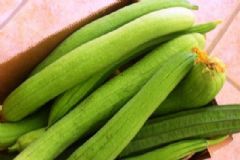 絲瓜有哪些養(yǎng)生作用？絲瓜的食療方法有哪些？[圖]