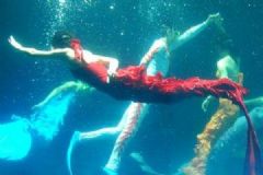 女孩海洋館扮美人魚！冬天長時(shí)間泡在水里有何危害？[多圖]