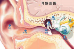 經(jīng)常挖耳屎影響很大！一招解決耳屎煩惱[多圖]