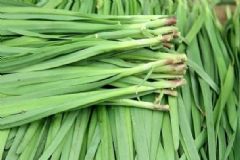 春季吃韭菜有哪些養(yǎng)生功效？韭菜的保健作用是什么？[圖]