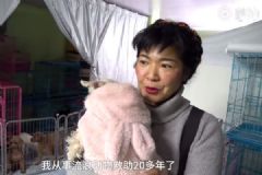 收養(yǎng)200多只流浪貓狗，還在全國各地為流浪動(dòng)物做絕育手術(shù)[多圖]