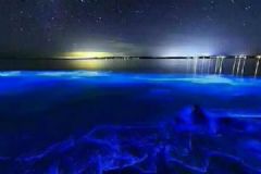 潿洲島再現(xiàn)熒光海灘！會發(fā)光的到底是什么？[多圖]