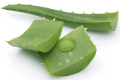 蘆薈的養(yǎng)生功效有哪些？蘆薈養(yǎng)生吃法是什么？[圖]