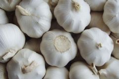 吃哪些食物能調理內分泌？內分泌失調吃什么食物能緩解？[圖]
