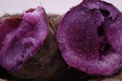 紫薯比紅薯更能抗癌嗎？怎樣挑選優(yōu)質(zhì)的紫薯？[圖]