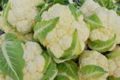 吃花椰菜減肥的要點(diǎn)是什么？吃花椰菜有哪些好處？[圖]