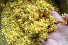 桂花的藥用價值什么？桂花有哪些食療方法？[圖]