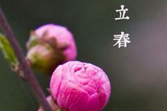 立春為什么要吃春卷？立春節(jié)氣有什么習俗？[多圖]