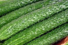 子宮肌瘤能吃什么蔬菜？子宮肌瘤適合吃這些蔬菜調理[多圖]