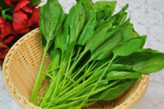 菠菜的營養(yǎng)價值有哪些呢？菠菜有哪些營養(yǎng)價值呢？[圖]