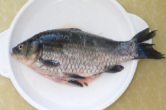 鯽魚的功效與作用有什么？鯽魚的營養(yǎng)價值有什么？[圖]
