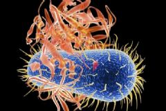 那些食物能排毒清腸？毒素超標(biāo)的主要癥狀有哪些？[圖]