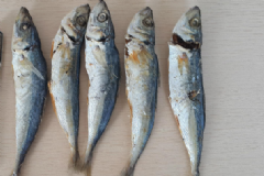 魚干制作方法是什么？魚干的功效與作用有什么？[圖]