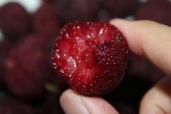 楊梅有藥用價(jià)值是什么？楊梅有哪些食療方法？[圖]