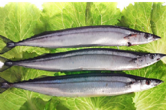 秋刀魚的功效與作用有哪些？秋刀魚的食用方法有哪些？[圖]