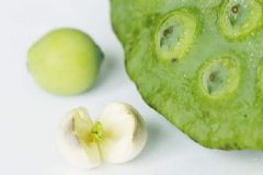 夏天太熱吃蓮子有哪些好處？怎樣選購(gòu)蓮子？[圖]