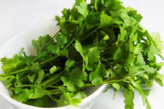 常吃香菜對(duì)身體有哪些好處？吃香菜要注意哪些食用禁忌？[圖]