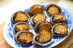 鮑魚的功效與作用有什么？鮑魚的營養(yǎng)價值有什么？[圖]