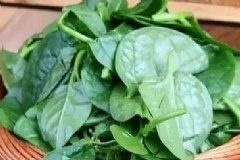 木耳菜的營養(yǎng)價值有什么？木耳菜有哪些功效與作用？[圖]