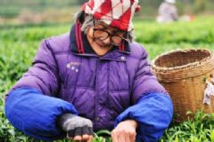 長(zhǎng)壽要多吃哪些食物？那些生活習(xí)慣會(huì)影響到壽命？[圖]