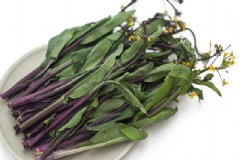 紅菜苔的營(yíng)養(yǎng)價(jià)值有什么？紅菜苔的功效與作用有什么？[圖]