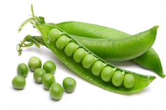 春季常吃豌豆都有哪些好處呢？吃豌豆要注意哪些食用禁忌？[圖]