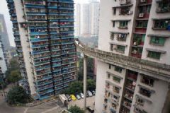 高樓沒電梯成網(wǎng)紅 過度爬樓有什么危害？[多圖]