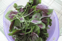 常吃莧菜有什么好處？莧菜有什么好吃的做法？[圖]