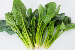 菠菜不宜與哪些食物同吃？菠菜具體的營(yíng)養(yǎng)價(jià)值是什么？[圖]