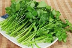 香菜有哪些營養(yǎng)功效？吃香草要注意什么禁忌？[圖]