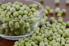 青黃豆是黃豆嗎？青黃豆的功效作用有哪些？[圖]