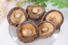 干香菇有哪些營養(yǎng)價值？干香菇有哪些功效？[圖]