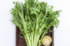 怎樣挑選能吃的野菜？哪些野菜是可以吃的？[圖]