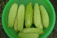 苦瓜的營養(yǎng)價值是什么？苦瓜很苦怎么祛除苦味？[圖]