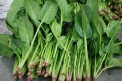 春天適合吃菠菜的原因是什么？哪些人不宜多吃菠菜？[圖]