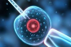 人工受精有哪些方法？人工受精有哪些影響？[圖]