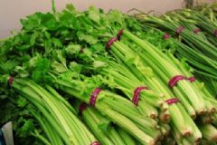 芹菜的養(yǎng)生作用有哪些？吃芹菜對健康的好處有哪些？[圖]