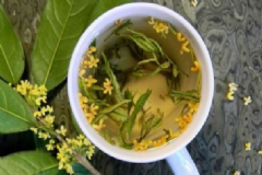 春季養(yǎng)生喝什么茶飲好？適合春季養(yǎng)生喝的茶有哪些？[圖]