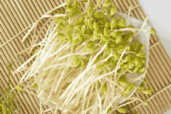 豆芽的營(yíng)養(yǎng)價(jià)值高不高？吃豆芽對(duì)身體有哪些好處？[圖]