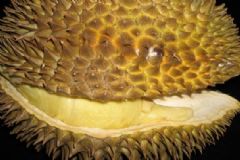 常見異味食物的功效有哪些？異味食物的養(yǎng)生作用是什么？[圖]