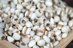 薏米的食療功效有哪些？吃薏米對(duì)健康的好處是什么？[圖]