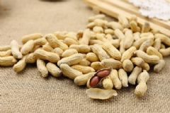 吃花生可以抗衰老嗎？花生的保健功效有哪些？[圖]