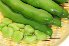 蠶豆的營養(yǎng)價值有哪些？哪些人不能吃蠶豆？[圖]