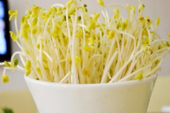 綠豆芽有什么營養(yǎng)價(jià)值？常吃綠豆芽有什么好處？[圖]