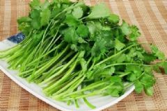 香菜有哪些功效作用？吃香菜有什么注意事項？[圖]