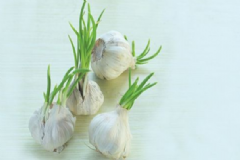 哪些發(fā)芽的食物不能吃？什么食物發(fā)芽還可以吃？[圖]