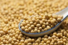 吃什么食物防曬最有效？有助于防曬的食物有哪些？[圖]